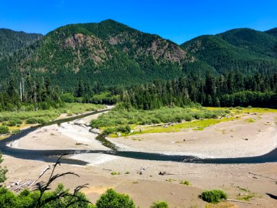 Olympic Bend in the Wynoochee River. Photo by Tharon Snuggs, USFS photo.