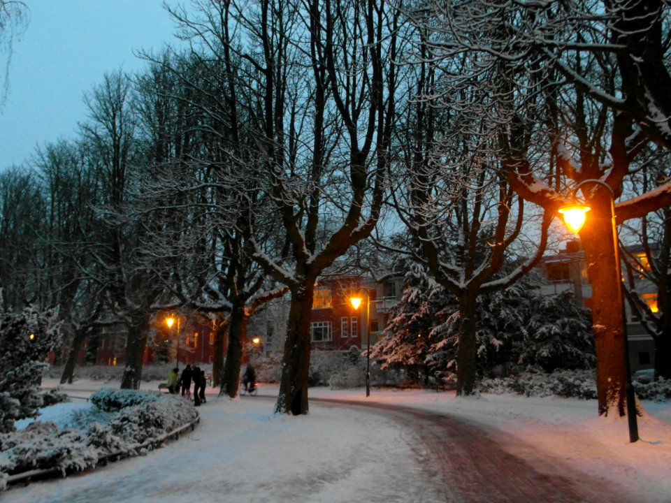 Wintertime in Groningen 5