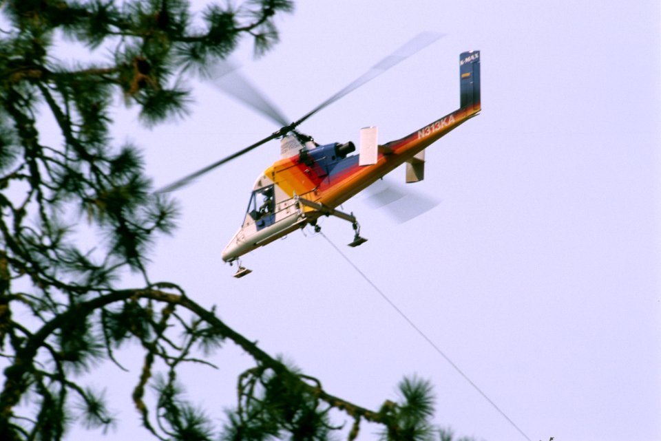 252 Rogue River-Siskiyou National Forest, Biscuit Fire