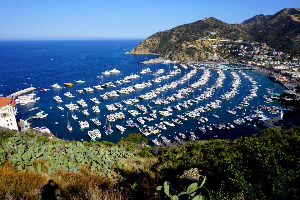 Catalina Island, CA (Unedited)