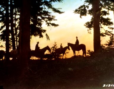 213158 Pack String, Umpqua NF 1926 photo