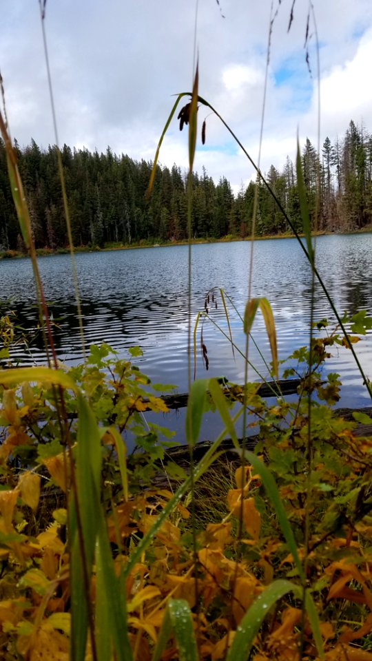 20180930 123229jpg 48801018756 o