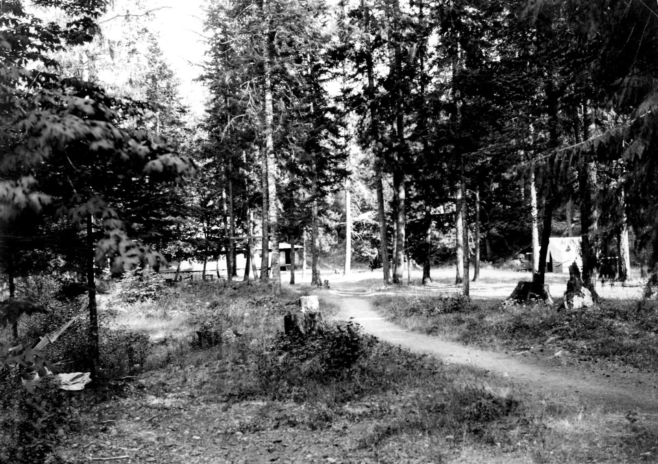 Cascade NF - McCredie Springs Resort, Campground Across Creek, OR