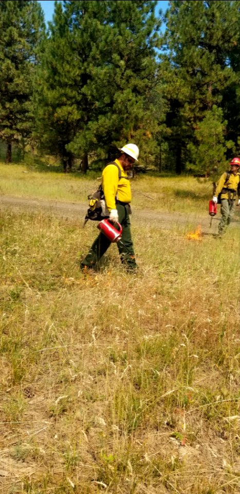 A firefighter uses a drip torch to direct the Canyon 66 Prescribed fire