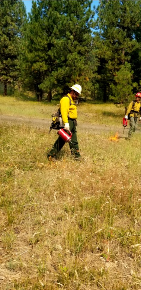 A firefighter uses a drip torch to direct the Canyon 66 Prescribed fire photo