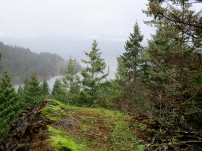 View from Trail 400. Still some green out there in the gorge post fire.