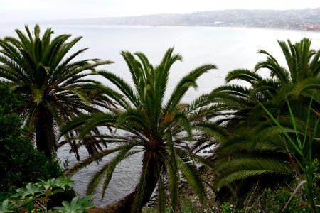 La Jolla, CA (Unedited)
