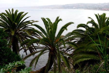 La Jolla, CA (Unedited) photo