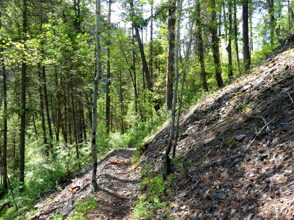 13 Mile Trail June 2020 trail steep by Sharleen Puckett