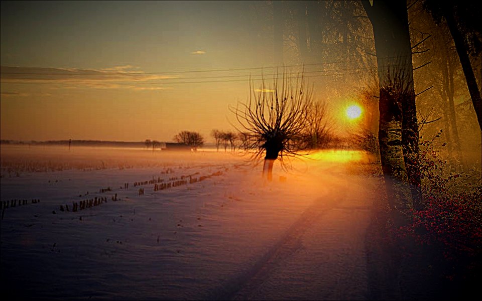 la   neve e il sole