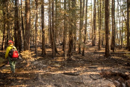 Burned Area Emergency Response, Umpqua National Forest, 2017