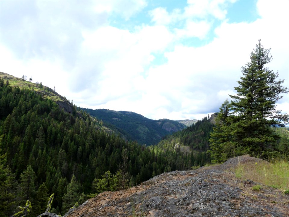 13 Mile Trail June 2020 view by Sharleen Puckett