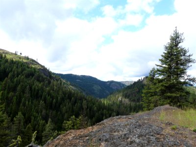 13 Mile Trail June 2020 view by Sharleen Puckett