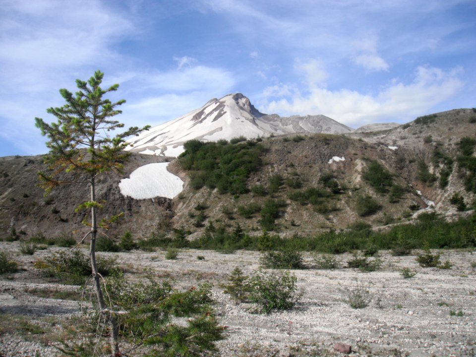 View of Mount St. Helens from Truman Trail