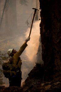 Firefighter, Rattlesnake Fire, 2017
