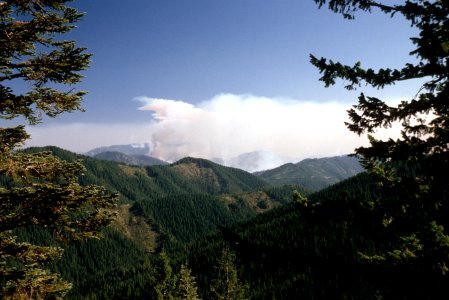089 Rogue River-Siskiyou National Forest, Biscuit Fire photo