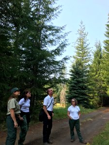 2018 Tree Team searches for the perfect Christmas tree