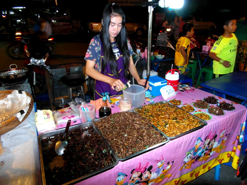 Fried insects at the night market