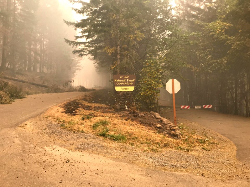 Tree down on Hwy 224 at Rainbow Campground entrance road, Mt. Hood National Forest
