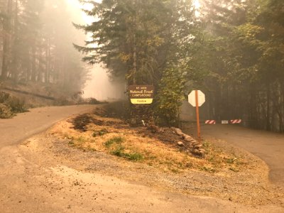 Tree down on Hwy 224 at Rainbow Campground entrance road, Mt. Hood National Forest