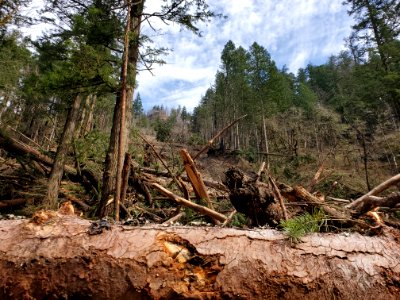 20210304-FS-CRGNSA-Eagle Creek Day Use Area landslide-02 photo