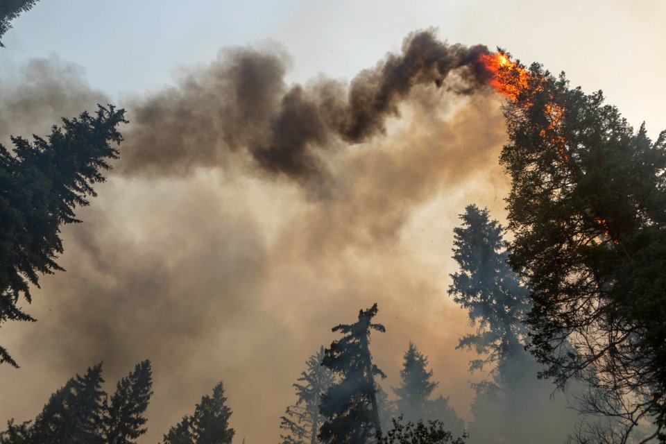 20180820 FS Okanogan KG 0694