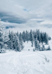 20210104-Umatilla National Forest in winter 002