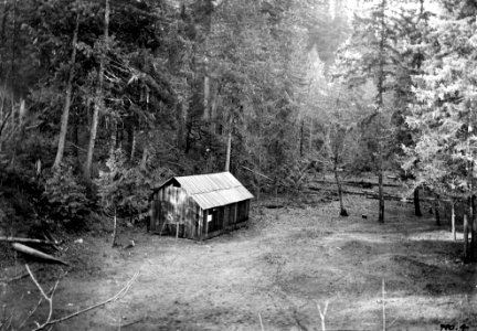 Cascade NF - No 4 New Shake Cabin 16X24ft, McCredie Springs, OR