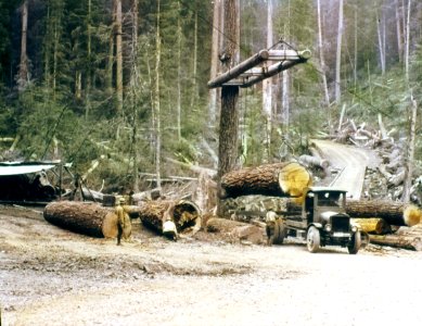 363075 Loading Logs near Snoqualmie NF photo