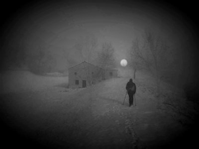 solitudine nella nebbia