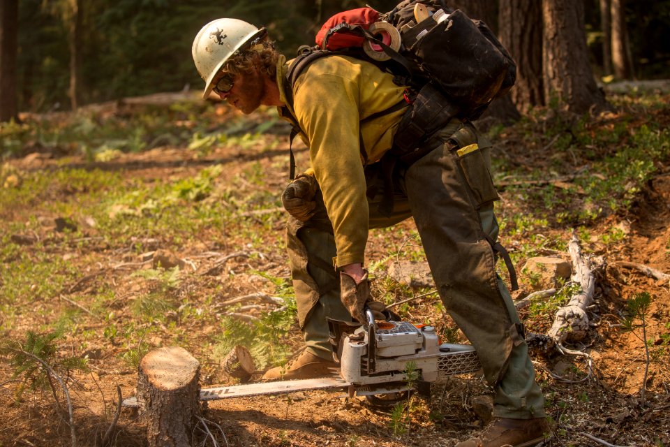 Firefighter, Umpqua National Forest Fires, 2017