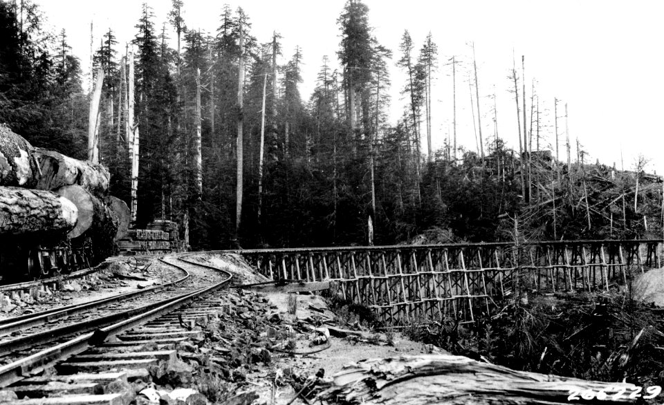 265229 High Trestle of Tidewater TC, near Astoria, OR 1927