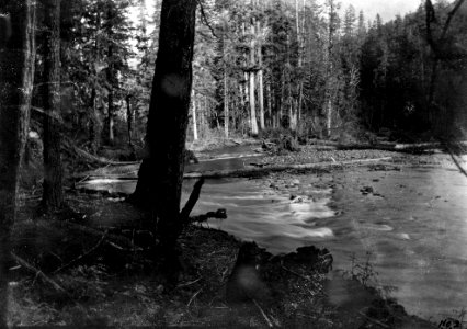 Cascade NF - No 2 Salt Creek, Showing Currents, Above McCredie Springs, OR photo
