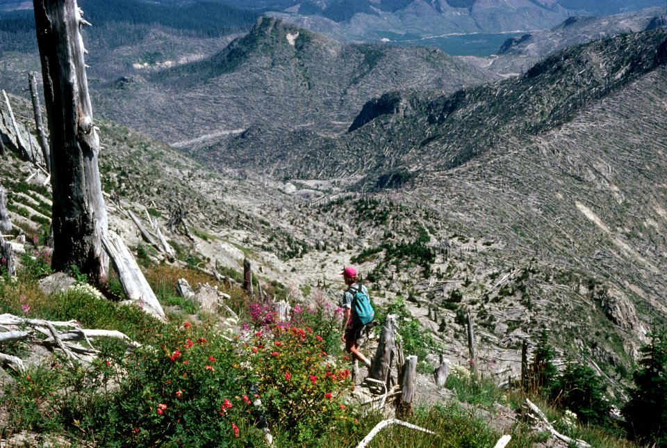 Gifford Pinchot National Forest, Mt St Helens NVM, blast zone,  Norway Pass Trail.jpg