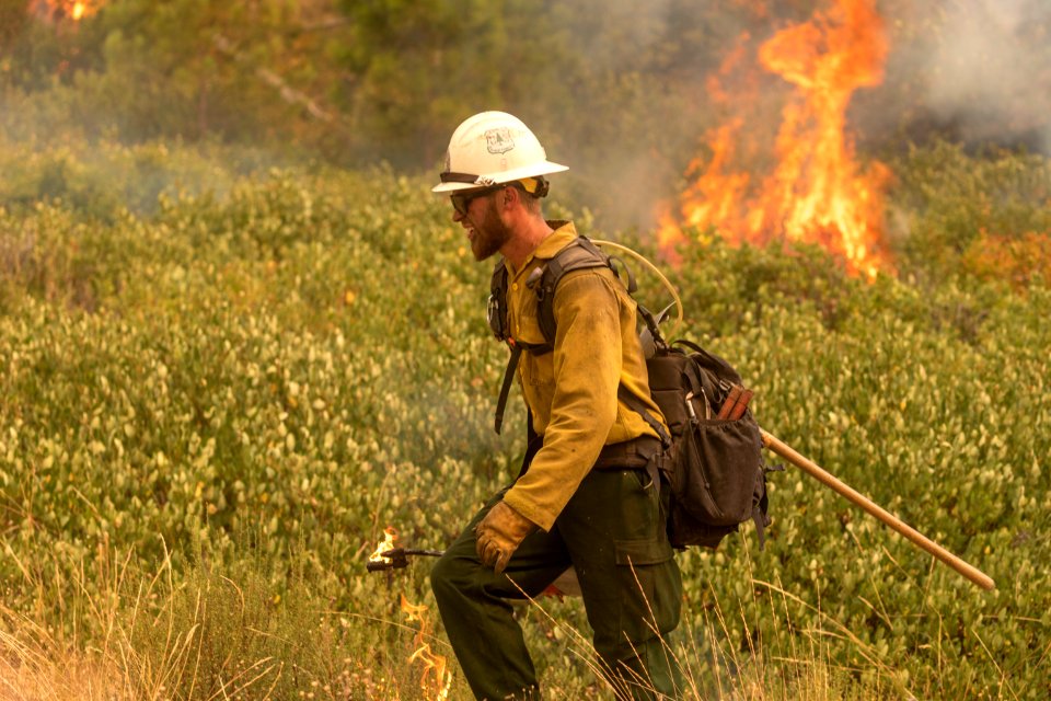 Firefighters conducting burnout operation