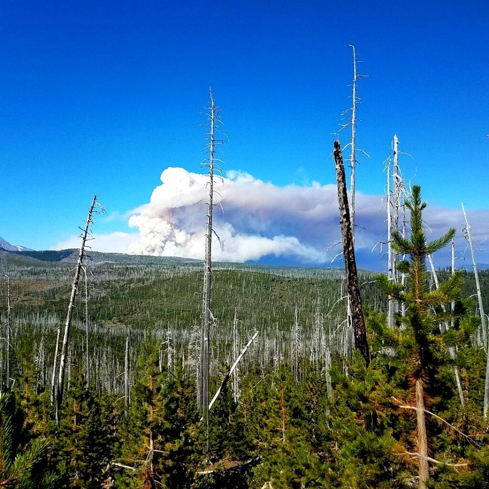A cloud of smoke from the Lionshead Fire, 9-23-2020