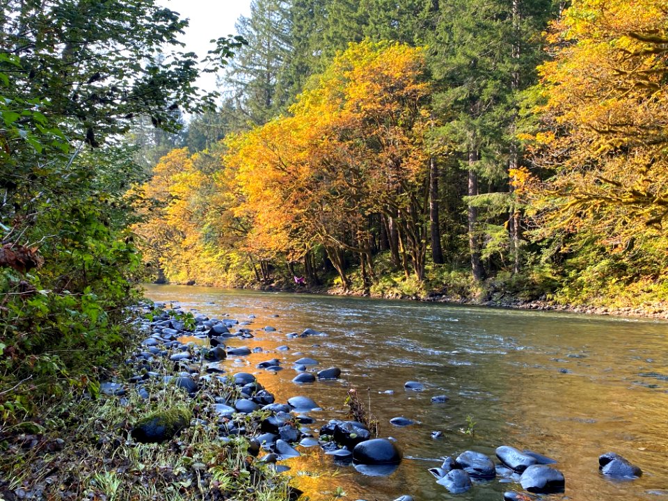 2020-10-2 Olympic Sol Duc River USFS photo by Kelsey Dyer