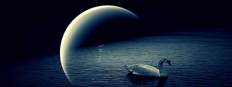 il cigno del mio..Mondo