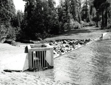 1797 Suttle Lake Dam, Deschutes NF OR 8-31-1961