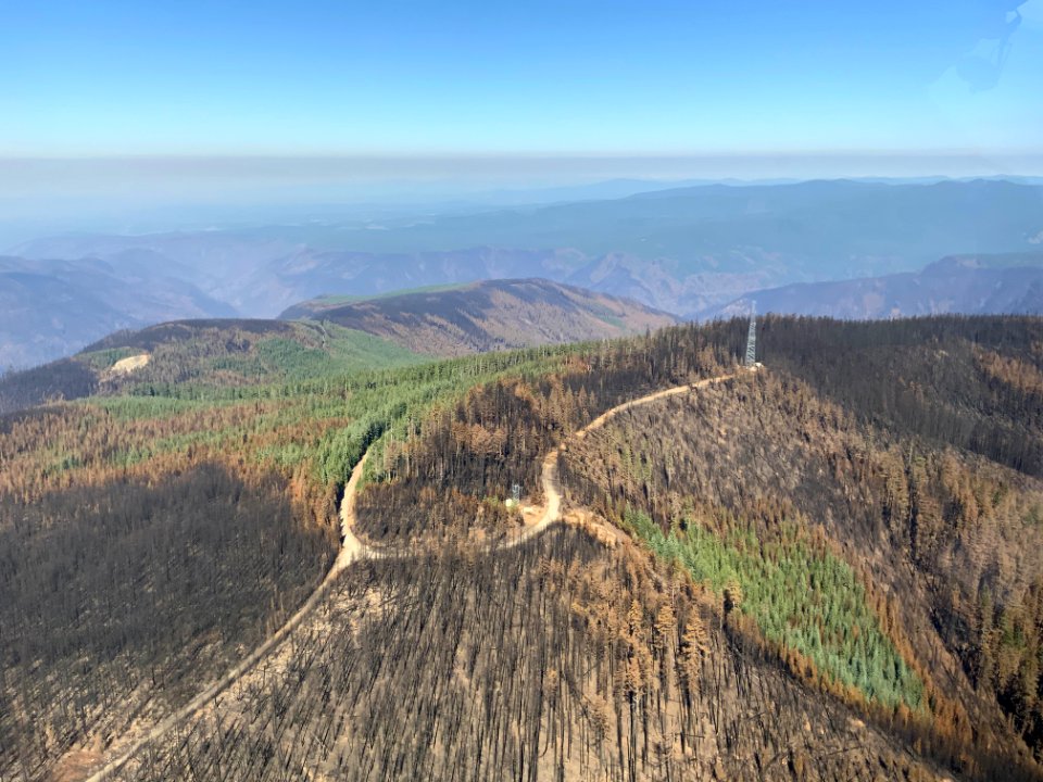 Whale Head ridge on Mt. Hood National Forest after Riverside Fire