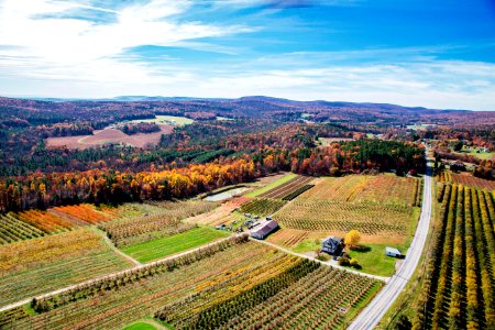 Air Adams Heli 11-8-16   Dropbox jpeg  031