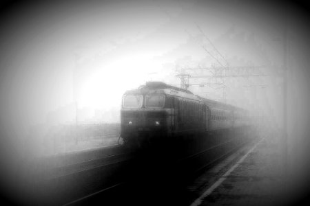il treno nella nebbia photo