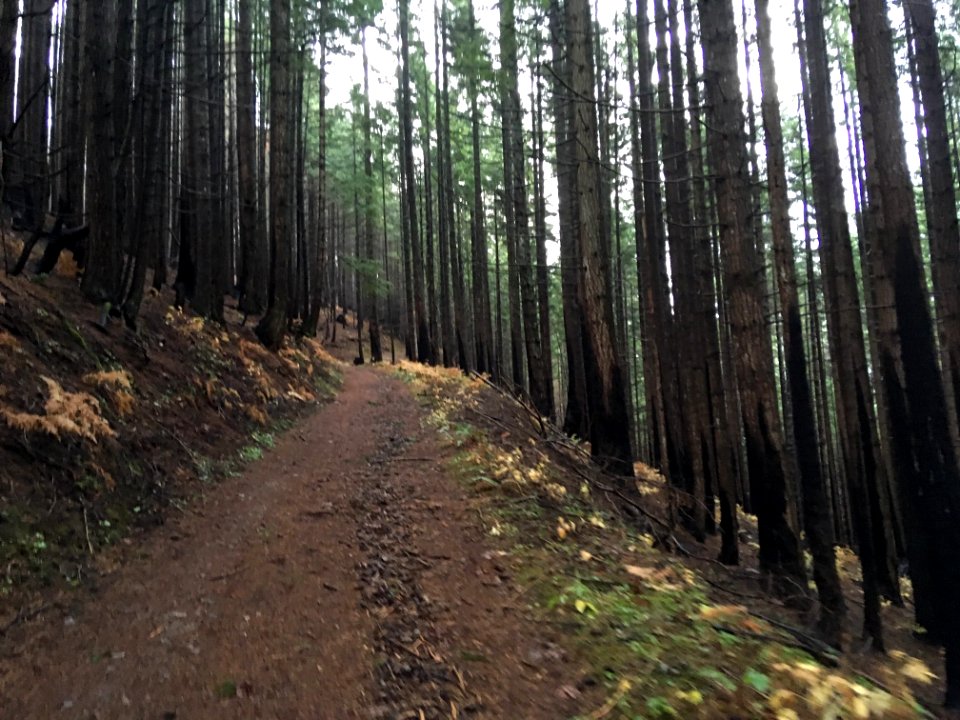 Herman Creek Trail December 1, 2018, Columbia River Gorge National Scenic Area