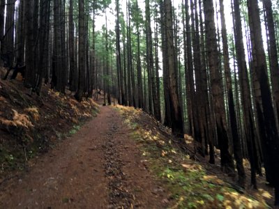 Herman Creek Trail December 1, 2018, Columbia River Gorge National Scenic Area