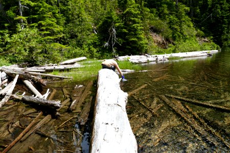 202003 Olympic A volunteer surveying at Snow Lake.