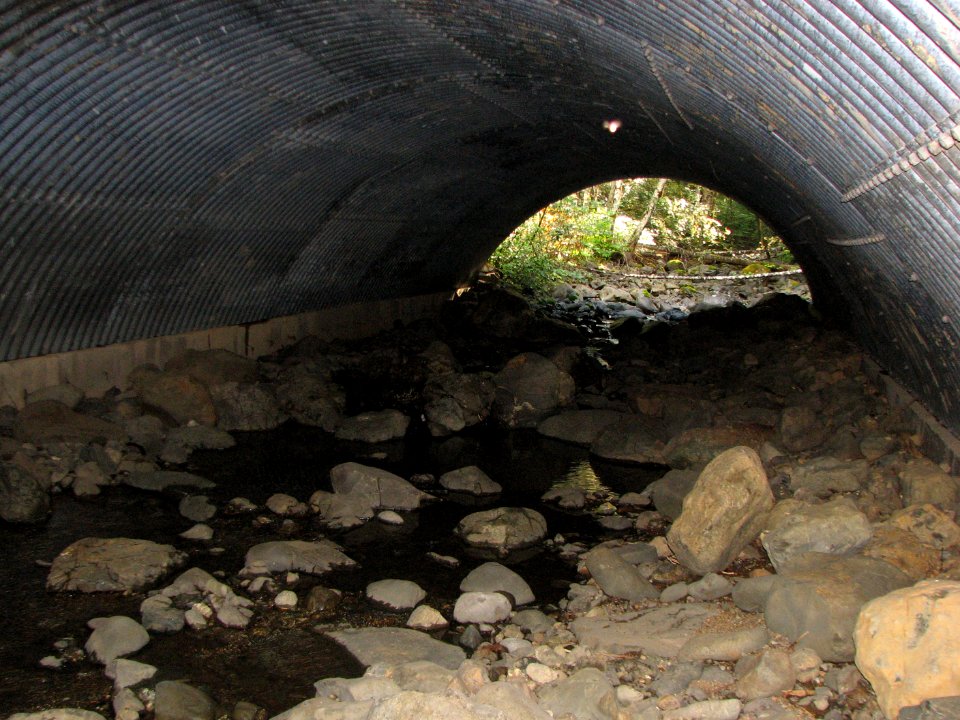 Open bottom arch at Quitter Creek and Forest Road 2401, Olympic National Forest. Photo by Betsy Howell.