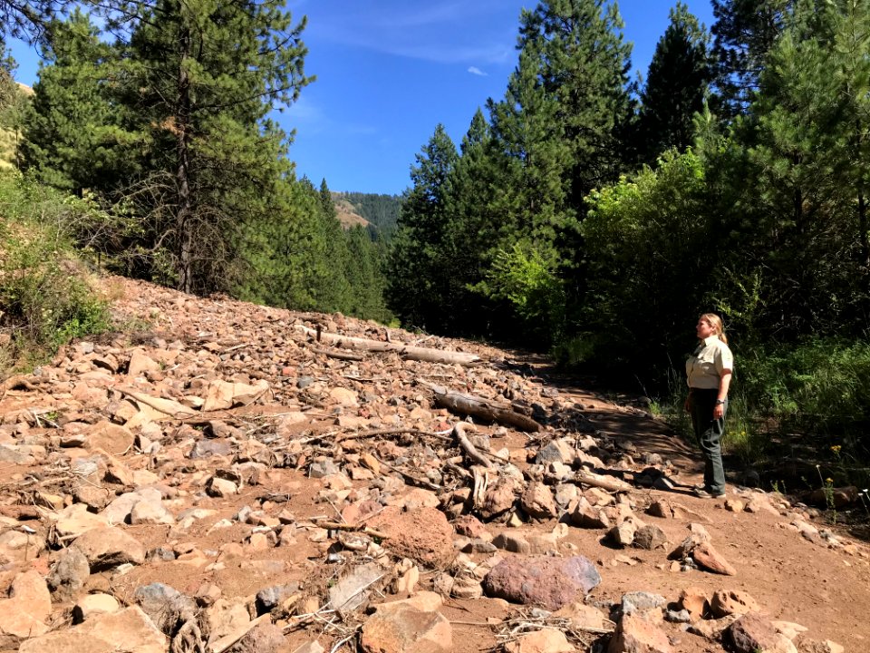 Forest Service Road 47 (Tucannon River)
