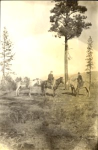 16100-10 Two foresters with pack horses on the trail c1910