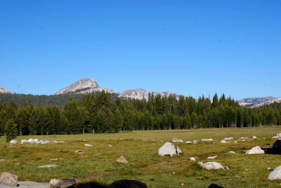 Yosemite National Park, California photo