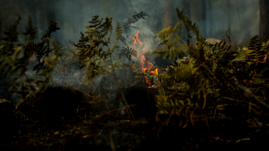170824-FS-Deschutes-ARM-002
